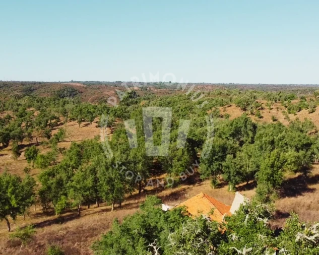 Terreno Agricola ou Rústico para Venda em Santiago do Cacém, Santa Cruz e São Bartolomeu da Serra Foto 7
