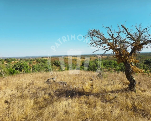 Terreno Agricola ou Rústico para Venda em Santiago do Cacém, Santa Cruz e São Bartolomeu da Serra Foto 9