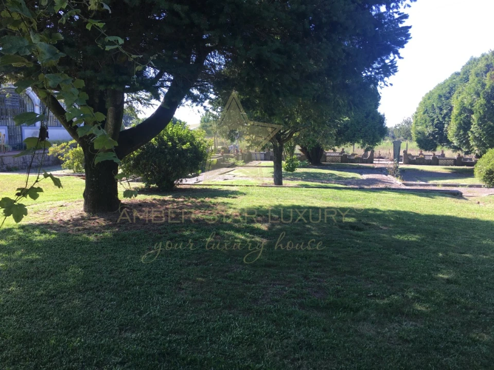 Quinta T10 para Venda em Vilar de Pinheiro Foto 20