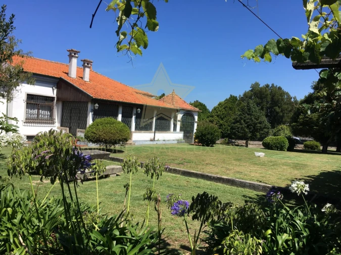 Quinta T10 para Venda em Vilar de Pinheiro Foto 17