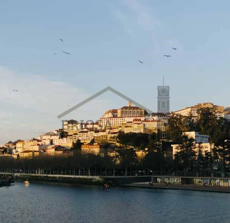 Apartamento para Venda em Santa Clara e Castelo Viegas Foto 27