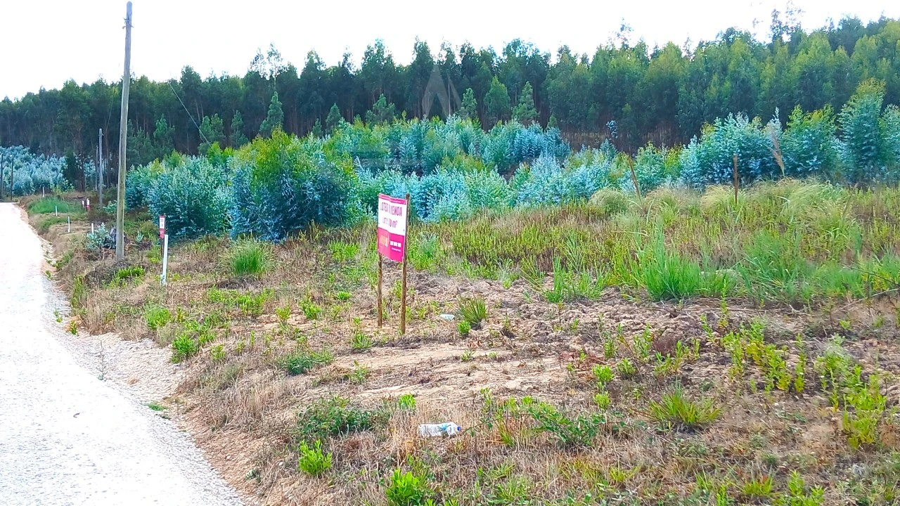 Terreno para Venda em Campelos e Outeiro da Cabeça Foto 15