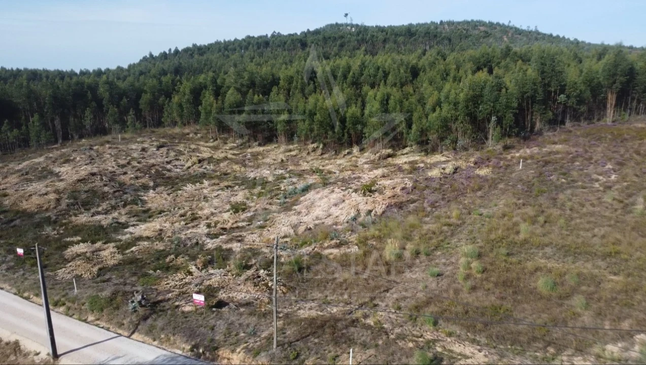Terreno para Venda em Campelos e Outeiro da Cabeça Foto 22