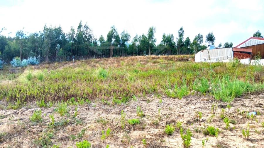 Terreno para Venda em Campelos e Outeiro da Cabeça Foto 15