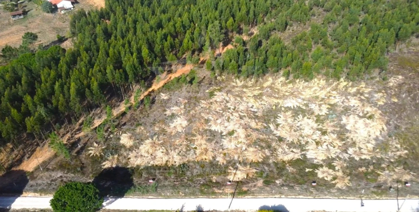 Terreno para Venda em Campelos e Outeiro da Cabeça Foto 14