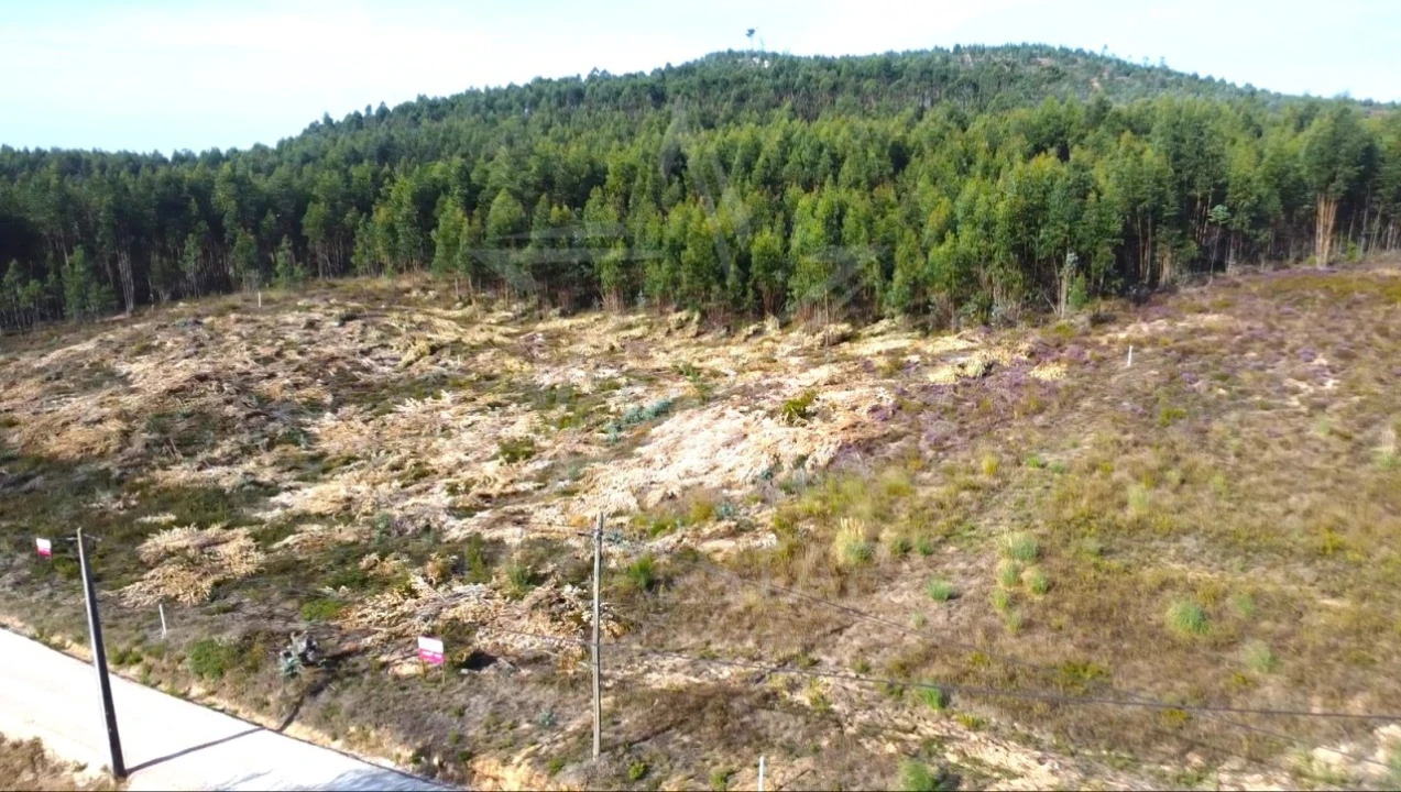 Terreno para Venda em Campelos e Outeiro da Cabeça Foto 18