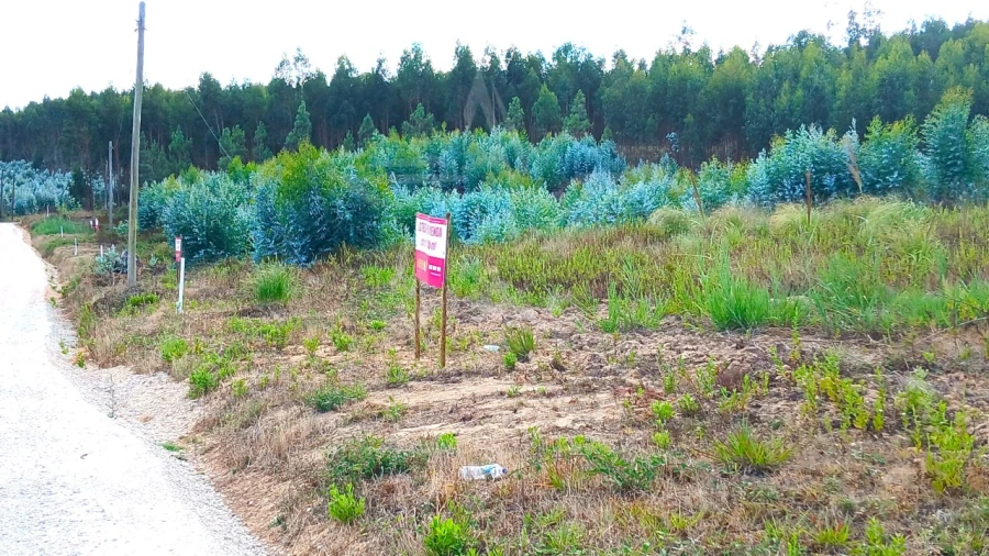 Terreno para Venda em Campelos e Outeiro da Cabeça Foto 10