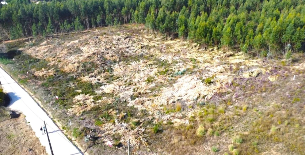 Terreno para Venda em Campelos e Outeiro da Cabeça Foto 15
