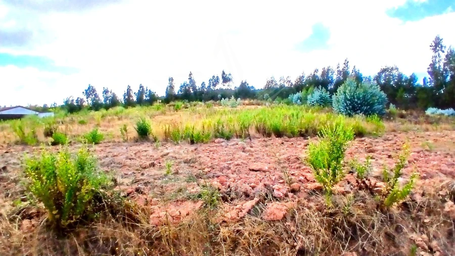 Terreno para Venda em Campelos e Outeiro da Cabeça Foto 7
