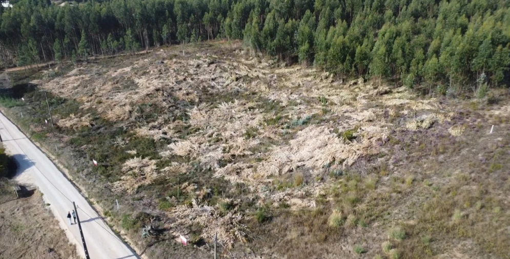 Terreno para Venda em Campelos e Outeiro da Cabeça Foto 25