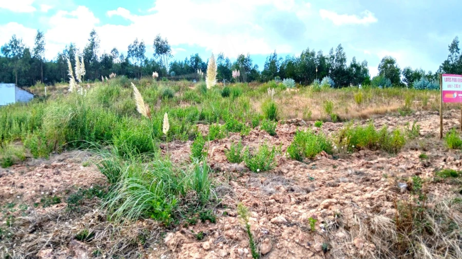 Terreno para Venda em Campelos e Outeiro da Cabeça Foto 12