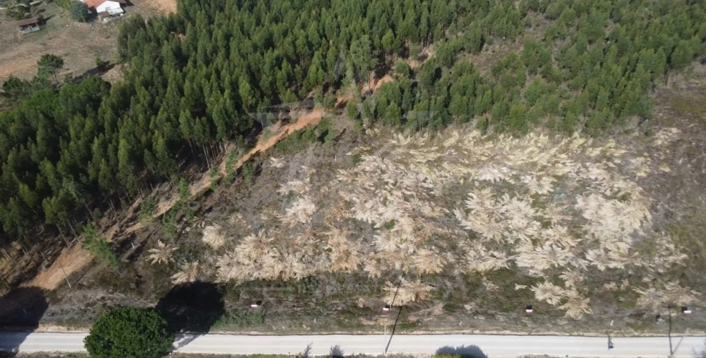 Terreno para Venda em Campelos e Outeiro da Cabeça Foto 25