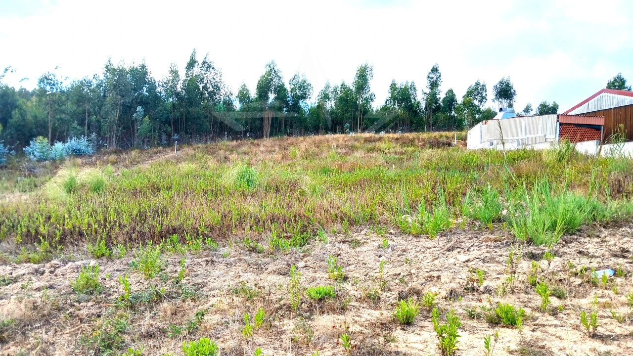 Terreno para Venda em Campelos e Outeiro da Cabeça Foto 14
