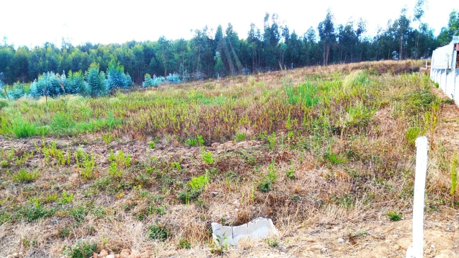 Terreno para Venda em Campelos e Outeiro da Cabeça Foto 13