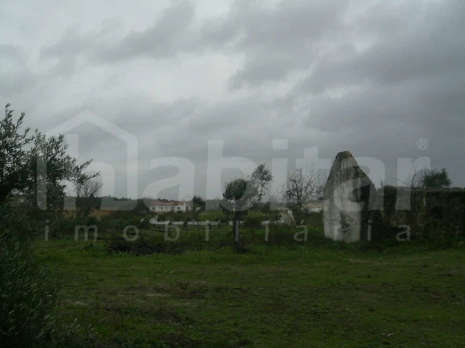 Terreno para Venda em Benavente Foto 5