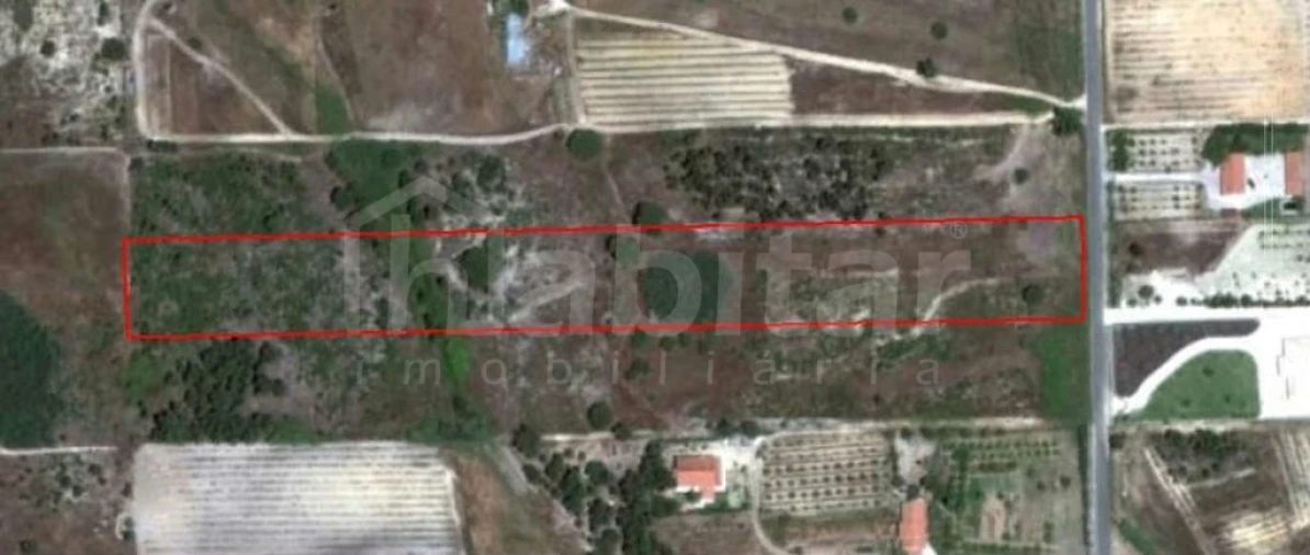 Terreno para Venda em Benavente Foto 6