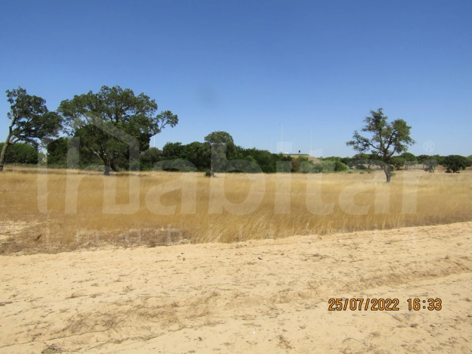 Terreno Comércio / Armazém para Venda em Benavente Foto 3