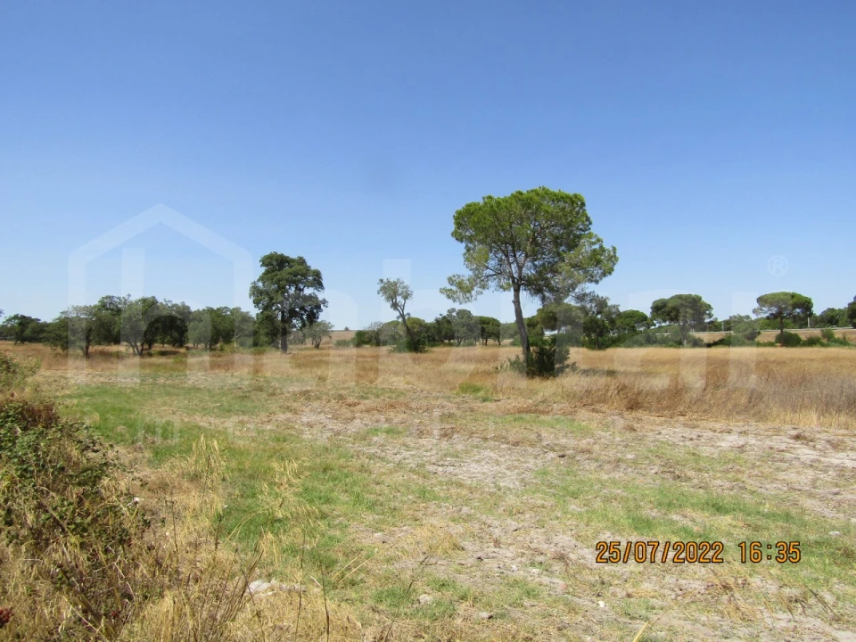 Terreno Comércio / Armazém para Venda em Benavente Foto 7