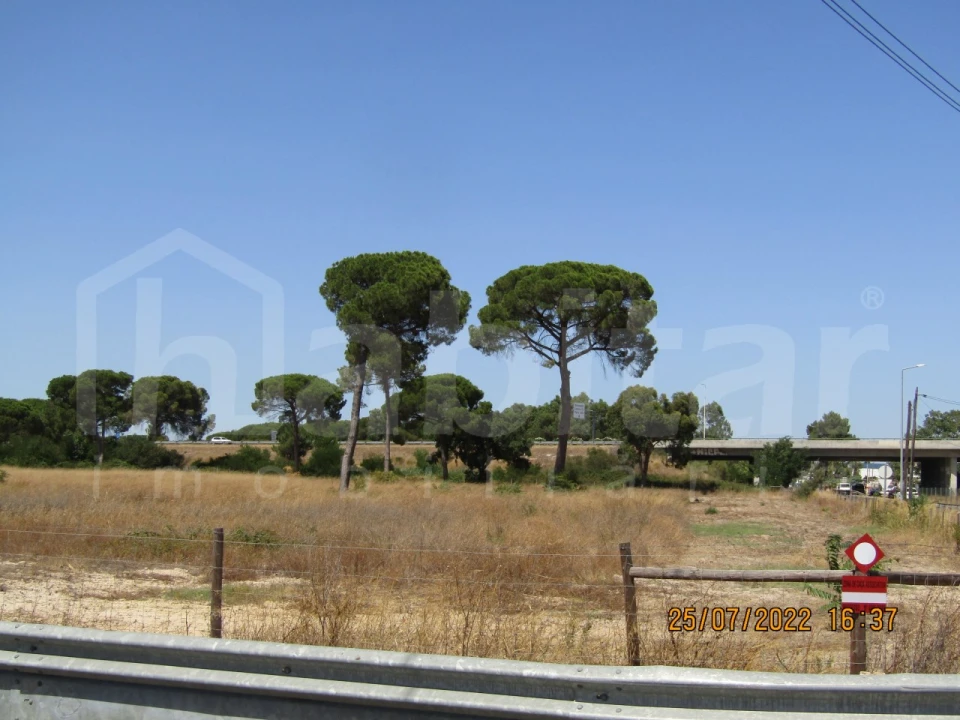 Terreno Comércio / Armazém para Venda em Benavente Foto 8