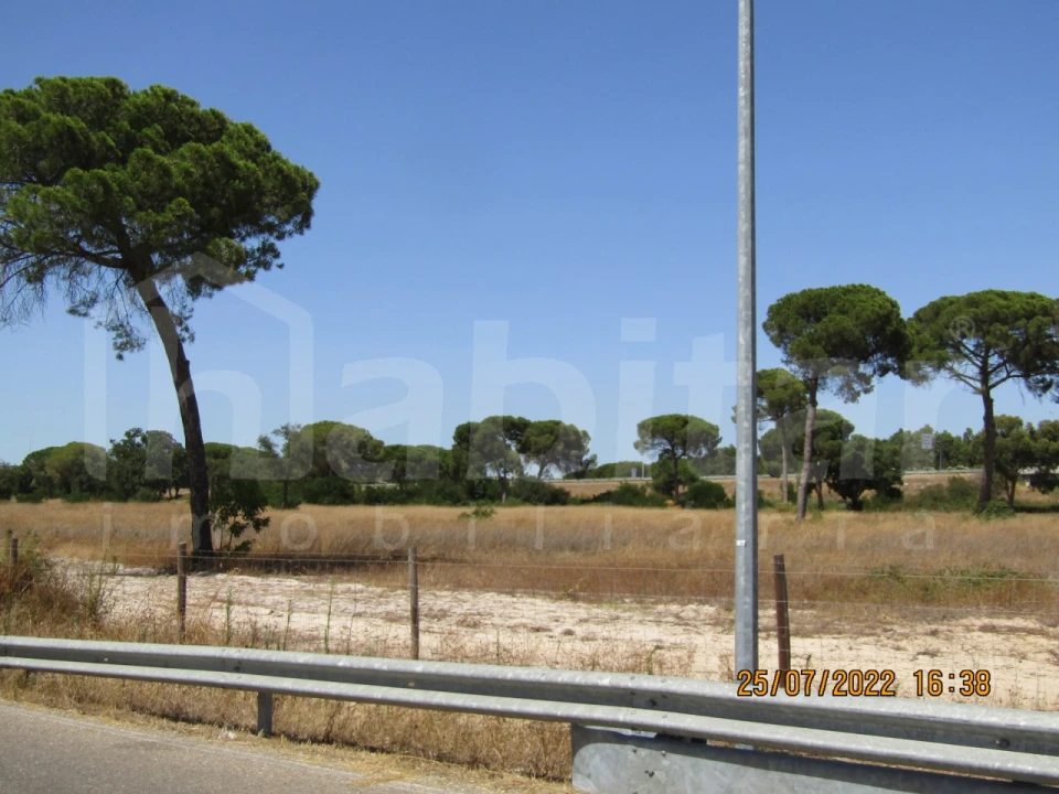 Terreno Comércio / Armazém para Venda em Benavente Foto 10
