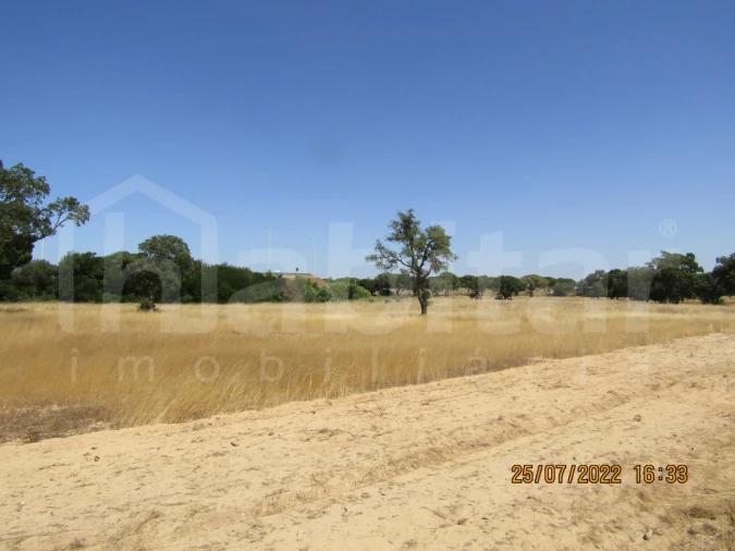 Terreno Comércio / Armazém para Venda em Benavente Foto 2