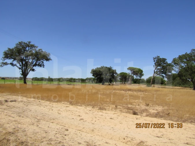 Terreno Comércio / Armazém para Venda em Benavente Foto 4