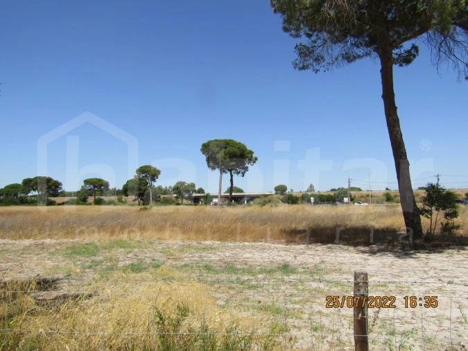 Terreno Comércio / Armazém para Venda em Benavente Foto 6
