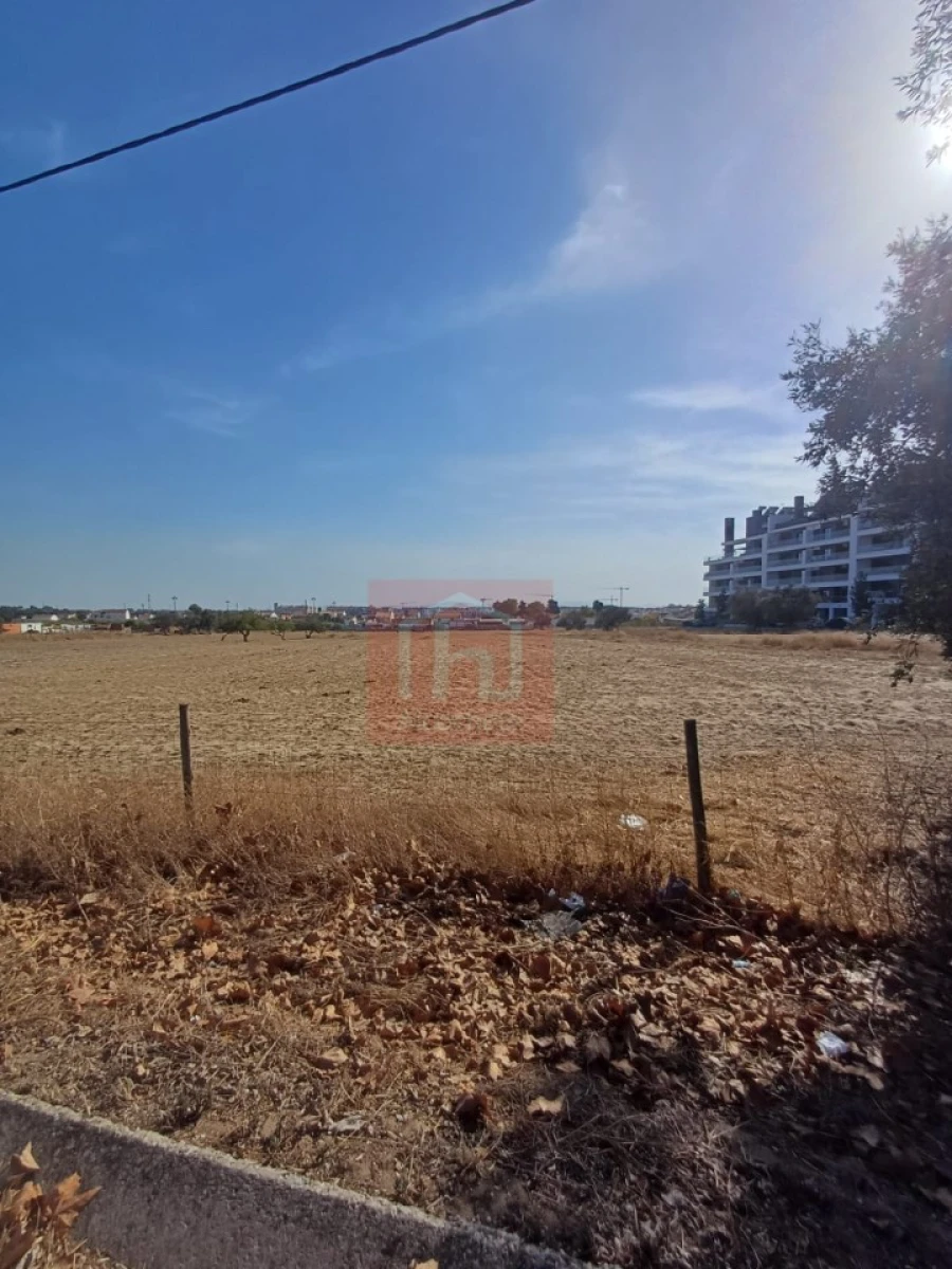 Terreno Agricola ou Rústico para Venda em Montijo e Afonsoeiro Foto 3