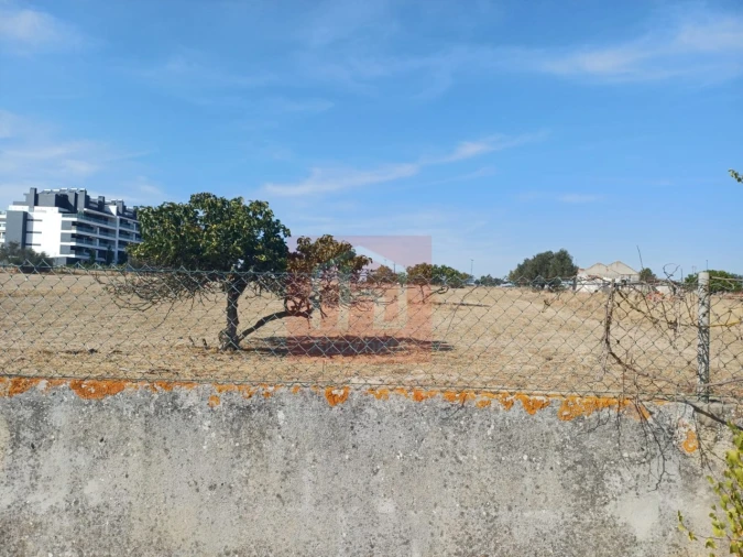 Terreno Agricola ou Rústico para Venda em Montijo e Afonsoeiro Foto 11