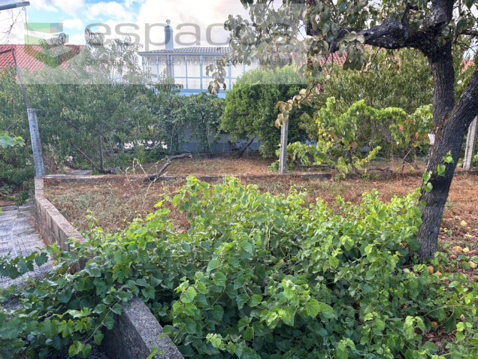 Moradia T4 para Venda em Lavacolhos Foto 56