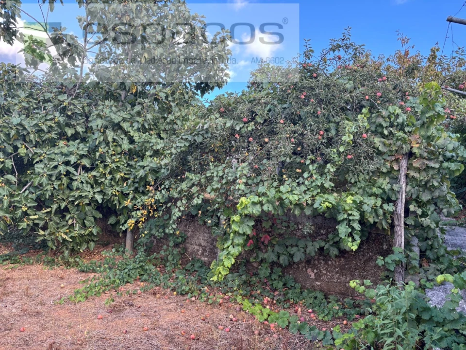 Moradia T4 para Venda em Lavacolhos Foto 58