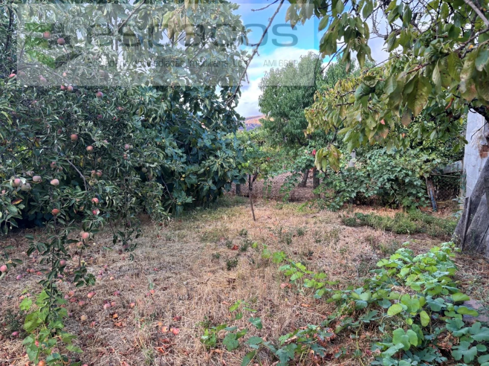 Moradia T4 para Venda em Lavacolhos Foto 65