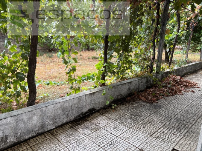 Moradia T4 para Venda em Lavacolhos Foto 15