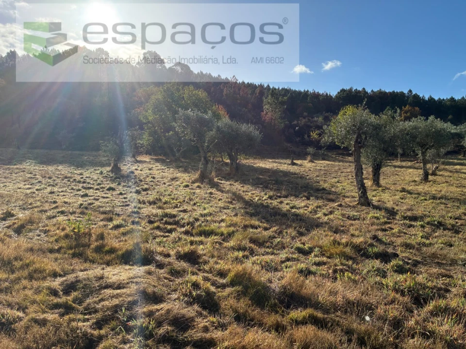 Quinta T1 para Venda em Paul Foto 10