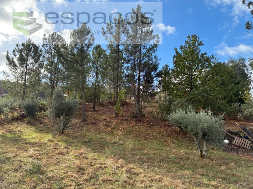 Quinta T1 para Venda em Paul Foto 12