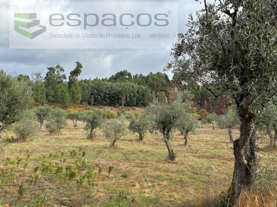 Quinta T1 para Venda em Paul Foto 14