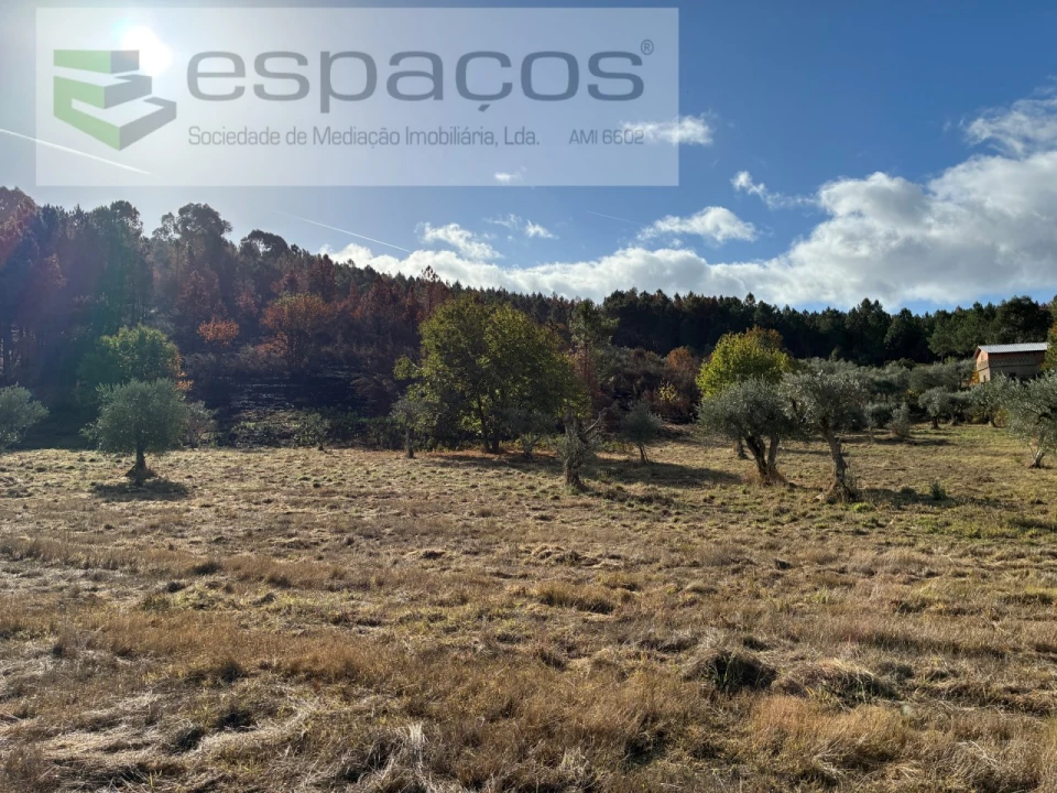 Quinta T1 para Venda em Paul Foto 25