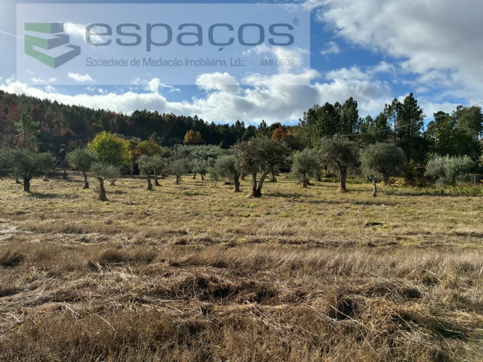 Quinta T1 para Venda em Paul Foto 29