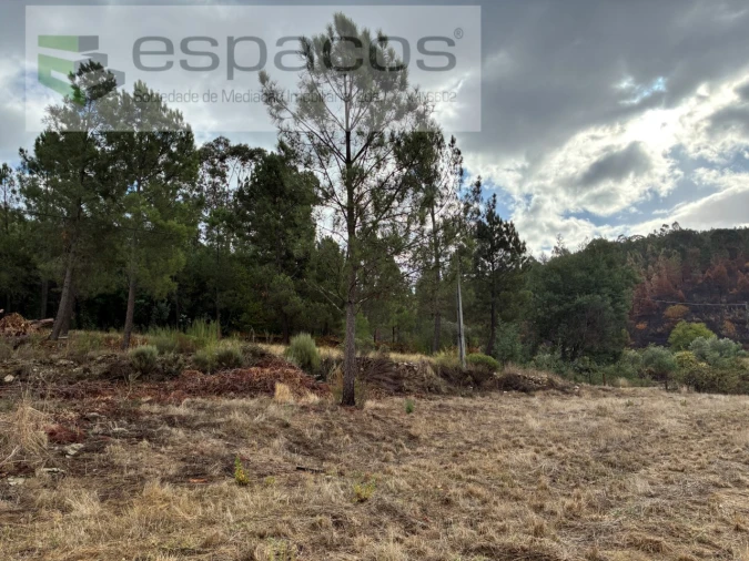 Quinta T1 para Venda em Paul Foto 6