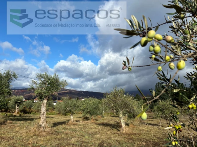 Quinta T1 para Venda em Paul Foto 18