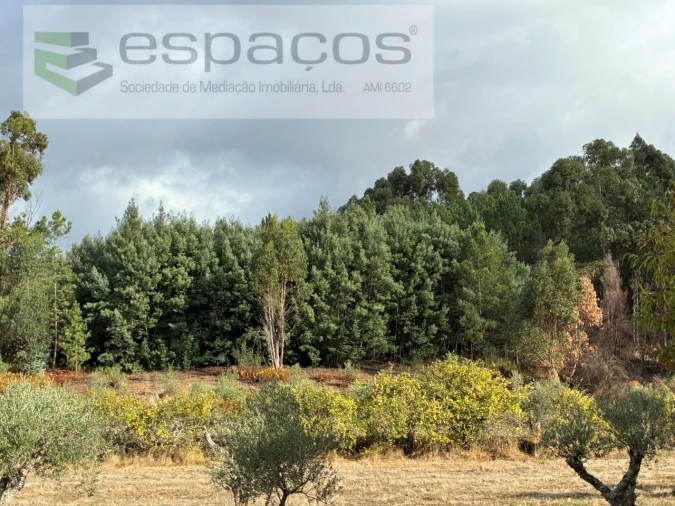 Quinta T1 para Venda em Paul Foto 20