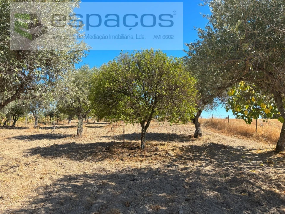 Quinta T1 para Venda em Soalheira Foto 7