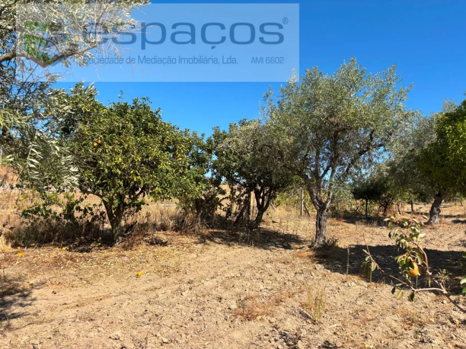 Quinta T1 para Venda em Soalheira Foto 9