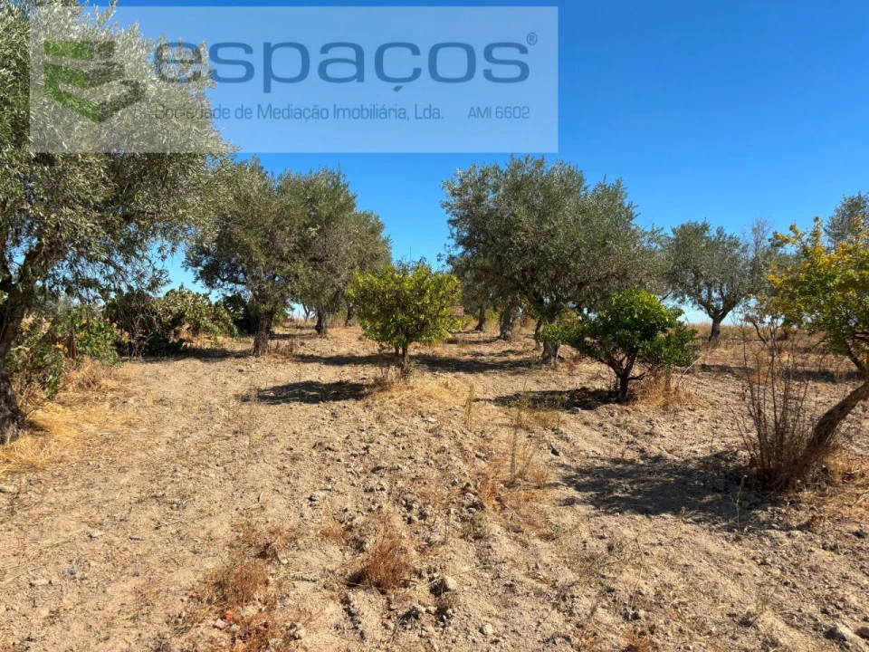 Quinta T1 para Venda em Soalheira Foto 12