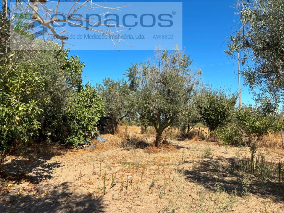 Quinta T1 para Venda em Soalheira Foto 16