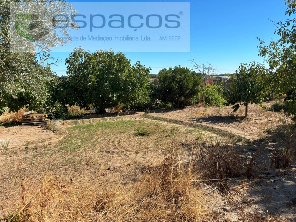 Quinta T1 para Venda em Soalheira Foto 18