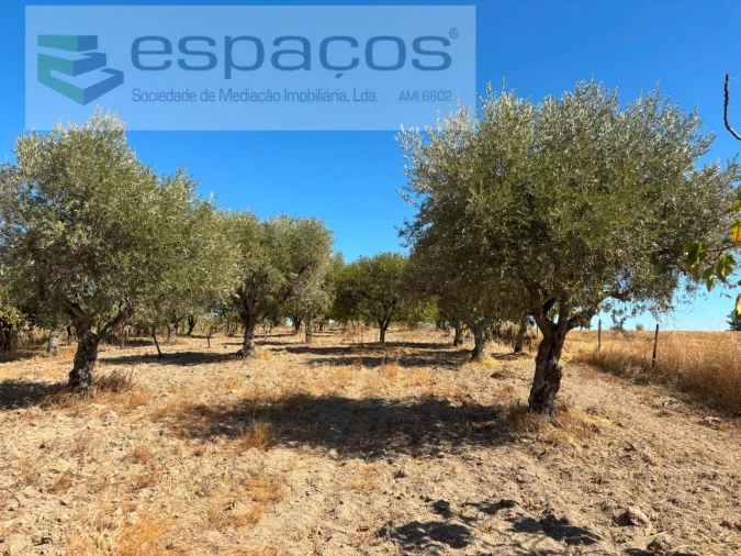 Quinta T1 para Venda em Soalheira Foto 2