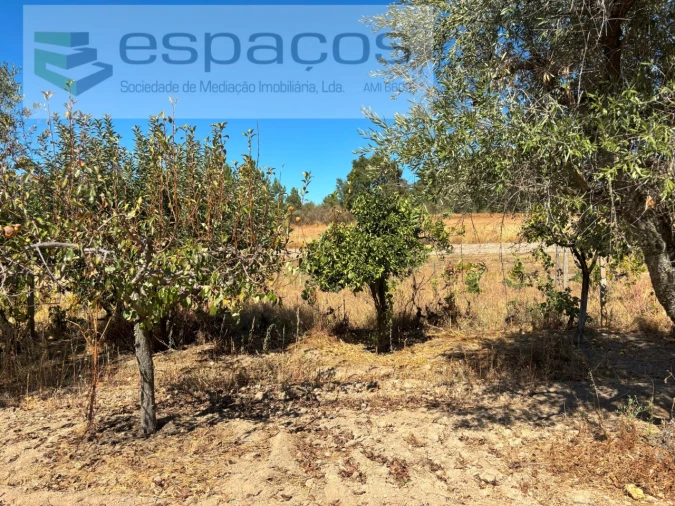 Quinta T1 para Venda em Soalheira Foto 8