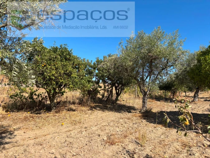 Quinta T1 para Venda em Soalheira Foto 9