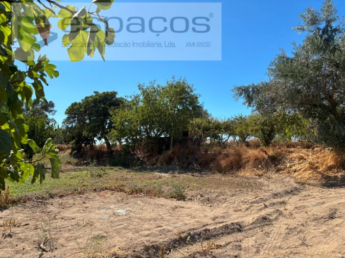 Quinta T1 para Venda em Soalheira Foto 19